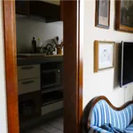 Rent 3 bedroom student apartment of 45 m² in Firenze