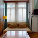 Rent 1 bedroom apartment of 33 m² in Praha 1