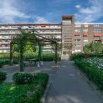 Rent 1 bedroom apartment of 53 m² in Heerlen