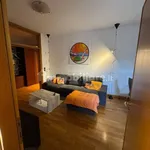 Rent 5 bedroom apartment of 91 m² in Padua