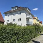 Rent 3 bedroom apartment of 66 m² in Dresden