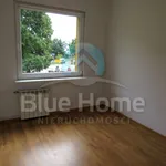 Rent 3 bedroom apartment of 53 m² in Leszno