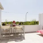 Rent 3 bedroom apartment in Madrid