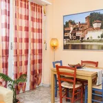 Rent 1 bedroom apartment in Turin