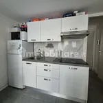 Rent 2 bedroom apartment of 55 m² in Turin