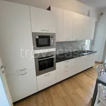 Rent 3 bedroom apartment of 100 m² in Treviso