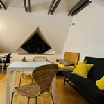 Studio of 32 m² in Brno