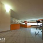 Rent 3 bedroom apartment of 80 m² in Pisa