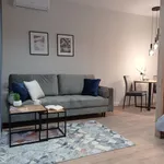 Rent 1 bedroom apartment of 35 m² in Lodz