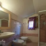 Rent 2 bedroom apartment of 80 m² in pisa