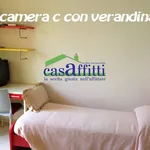 Rent 3 bedroom house of 85 m² in Perugia