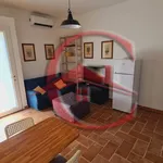 Rent 2 bedroom apartment of 55 m² in Gorgonzola