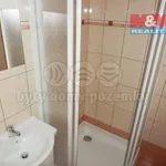 Pronajměte si 1 ložnic/e byt o rozloze 35 m² v Františkovy Lázně