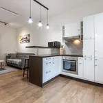 Pronajměte si 1 ložnic/e byt o rozloze 45 m² v Prague