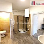 Rent 2 bedroom apartment of 47 m² in Teplá