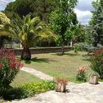 Rent 4 bedroom house of 100 m² in Prunelli-Di-Fiumorbo