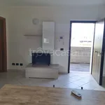 Rent 3 bedroom apartment of 65 m² in Verona