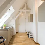 Rent 1 bedroom apartment of 50 m² in Berlin