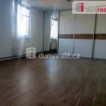 Rent 2 bedroom apartment of 65 m² in Zlín