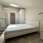 Rent 1 bedroom apartment of 50 m² in Lonigo