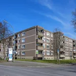 Rent 3 bedroom apartment of 75 m² in Dortmund