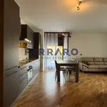 Rent 1 bedroom apartment of 70 m² in treviso