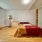 Rent 3 bedroom apartment of 90 m² in Praha