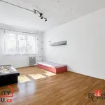 Rent 2 bedroom apartment in Chodov