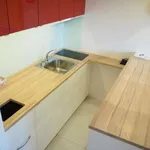 Rent 1 bedroom apartment of 28 m² in Brno