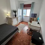 Alugar 7 quarto apartamento em Coimbra