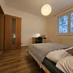 Rent 1 bedroom apartment of 52 m² in Brno