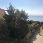 Rent 2 bedroom apartment of 80 m² in castiglione della pescaia