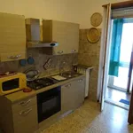 Rent 2 bedroom apartment of 65 m² in turin