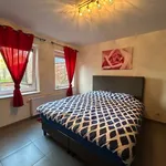 Rent 1 bedroom apartment in Péruwelz