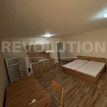 Rent 1 bedroom apartment of 55 m² in Остромила