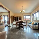 Apartment good condition, ground floor, Pietrasanta