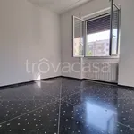 Rent 4 bedroom apartment of 90 m² in Cairo Montenotte