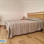 Appartamento arredato con terrazzo Centro