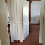 Rent 3 bedroom apartment of 67 m² in Jesi