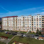 Pronajměte si 2 ložnic/e byt o rozloze 33 m² v Ústí nad Labem