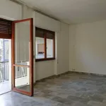 Affitto 6 camera appartamento di 180 m² in Latina