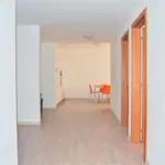 Rent a room in trento