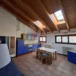 Rent 2 bedroom apartment of 46 m² in Bologna