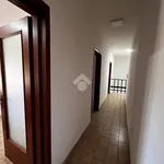 Rent 2 bedroom apartment of 25 m² in Napoli