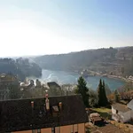 Rent 1 bedroom apartment in Neuhausen am Rheinfall