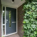 Huur 5 slaapkamer huis van 146 m² in Haarlem