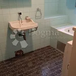 Rent 2 bedroom apartment of 100 m² in Matulji