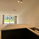 Maison de 66 m² avec 1 chambre(s) en location à Bruges