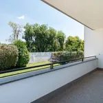 Rent 5 bedroom house of 240 m² in Roma