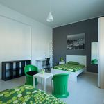 Rent a room in Bologna